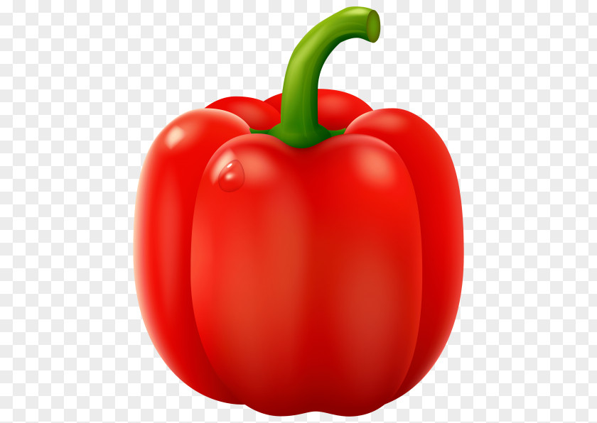 Vegetable Green Bell Pepper Chili Clip Art Cayenne PNG