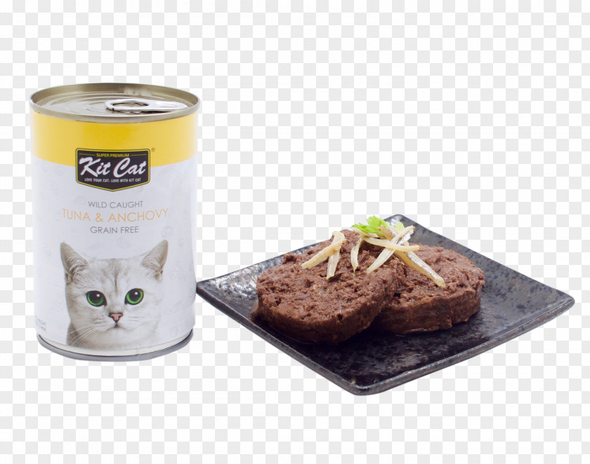 Anchovy Cat Food Nutrient Felidae Kitten PNG