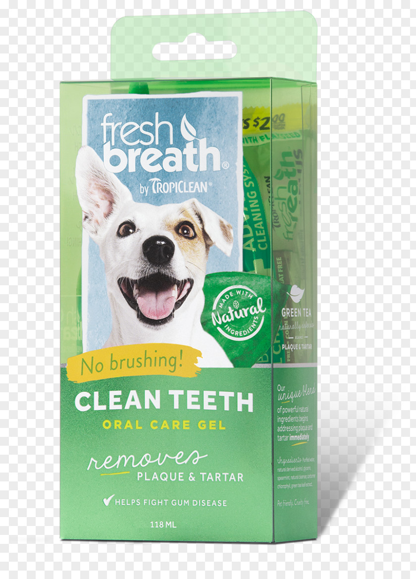 Cat Teeth Cleaning Tooth Brushing Dental Calculus Dog PNG