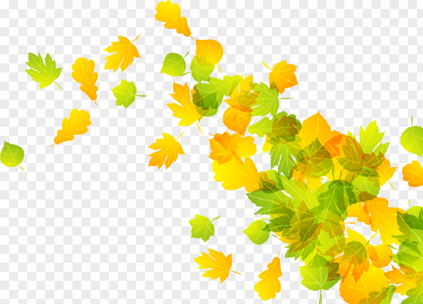 Falling Leaves Vector 2 Leaf Autumn PNG