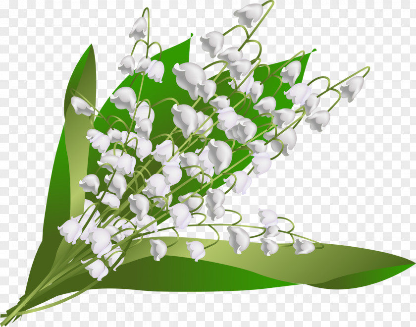Lily Of The Valley Flower May 1 Floral Design Floristry Hauts-de-Seine PNG