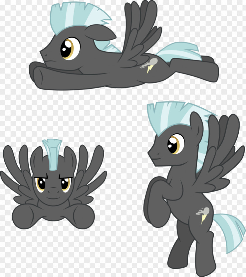 Pegasus Vector Fluttershy Rainbow Dash Flight Twilight Sparkle PNG