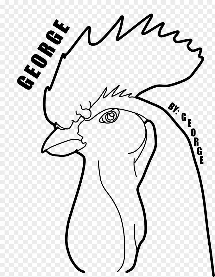 Roosters Line Art Drawing Beak Clip PNG