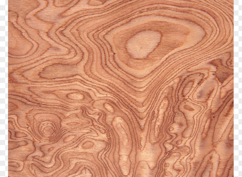 Board,Wood,wood Paper Wood Aastarxf5ngad Tree Plank PNG
