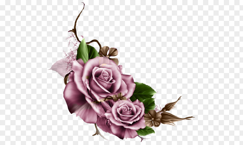 Flower Garden Roses Picture Frames Floral Design Clip Art PNG