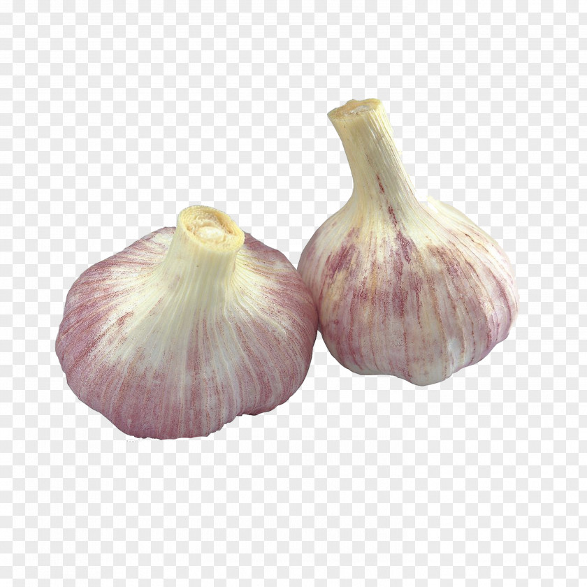 Garlic Vegetable Food Allicin Onion PNG