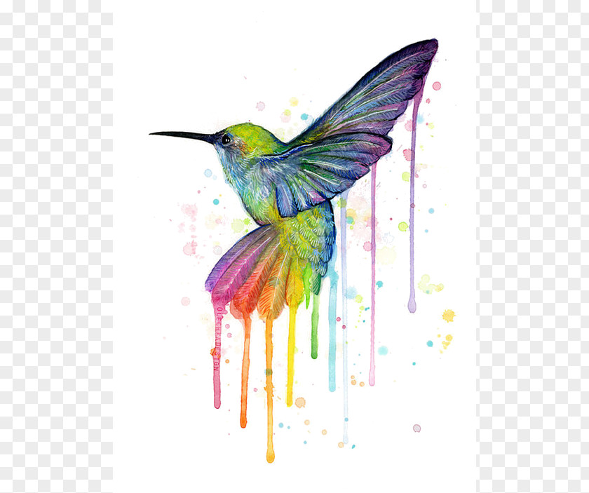 Painting Hummingbird Printmaking Art Canvas Print PNG
