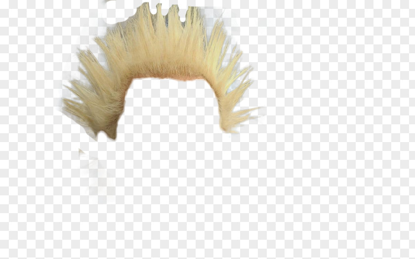 Hair Eyelash PNG