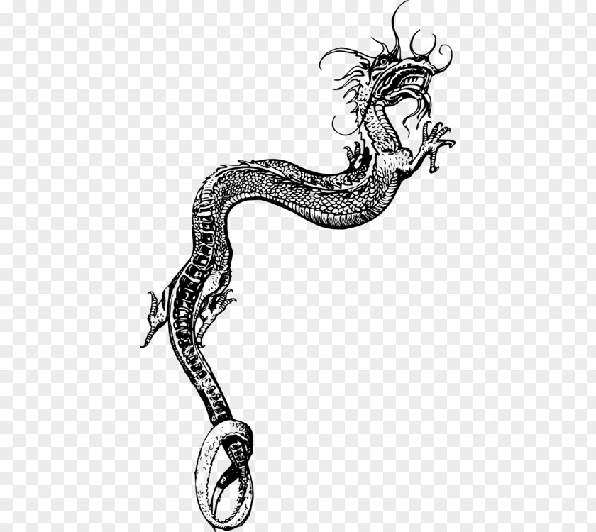 Serpent Tail Book Black And White PNG