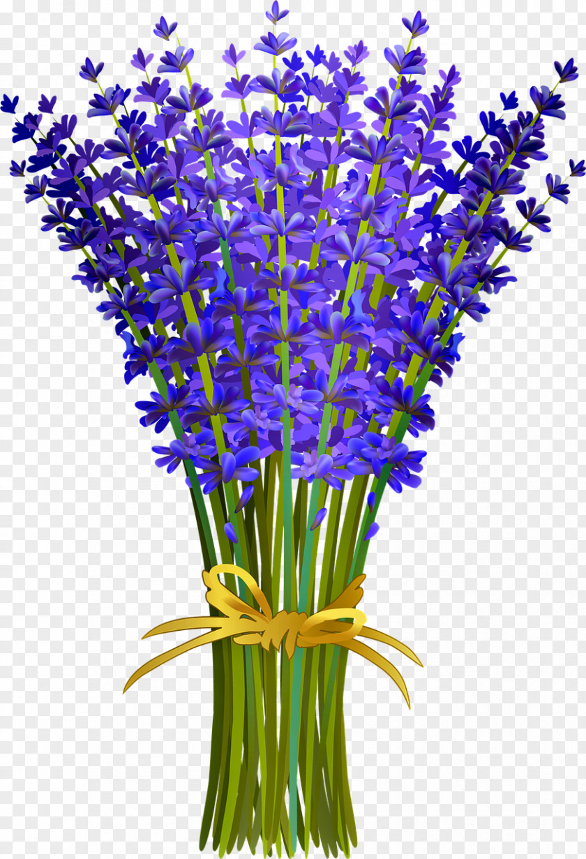 Flower Bouquet Drawing Clip Art English Lavender PNG