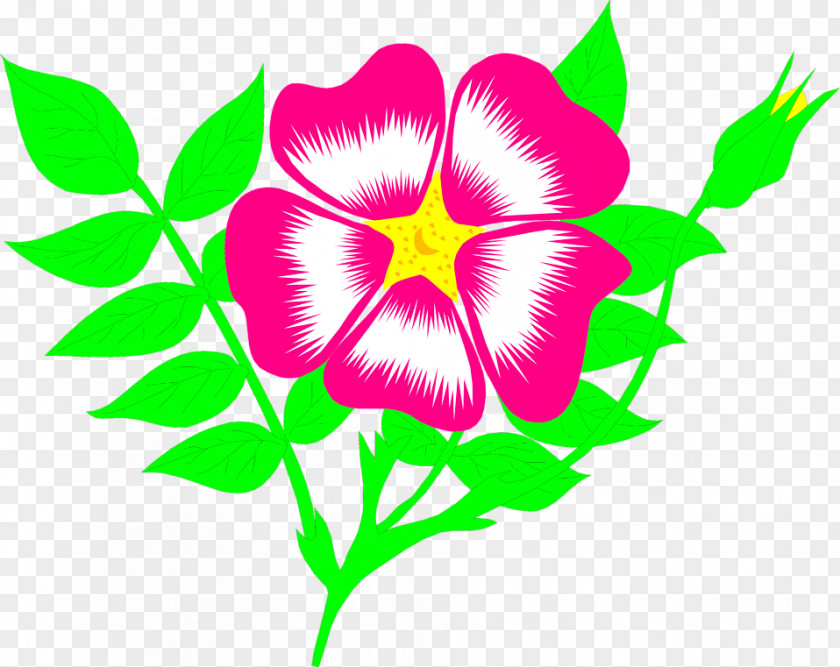 Free Illustration Pictures Flower Animation Clip Art PNG