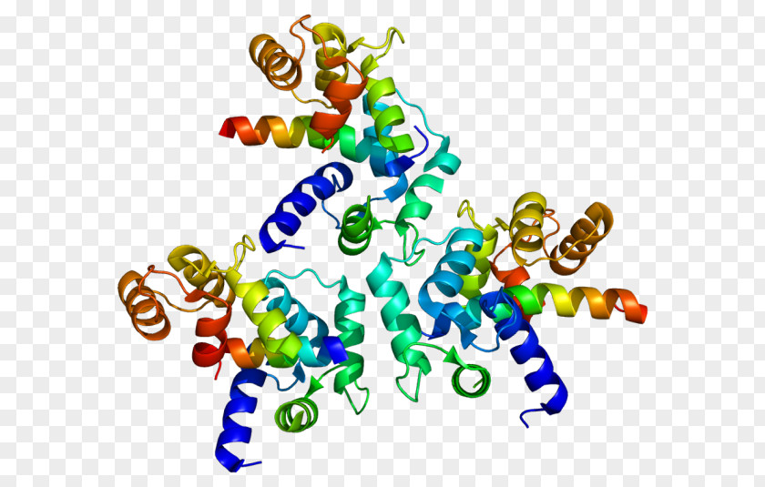 Genomics Cliparts L-type Calcium Channel Voltage-gated Cav1.3 Protein Subunit PNG