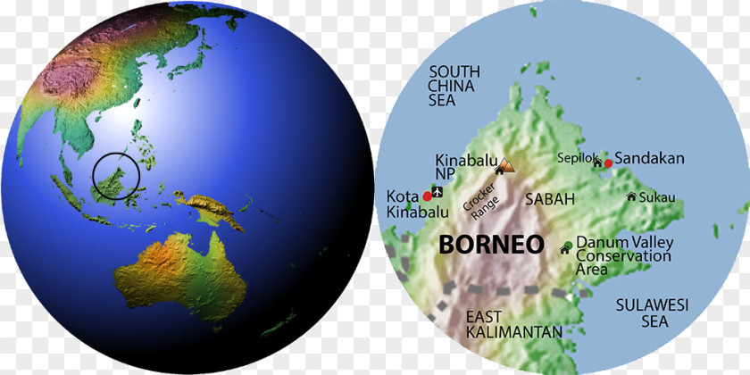 Globe World Map Earth Sphere PNG
