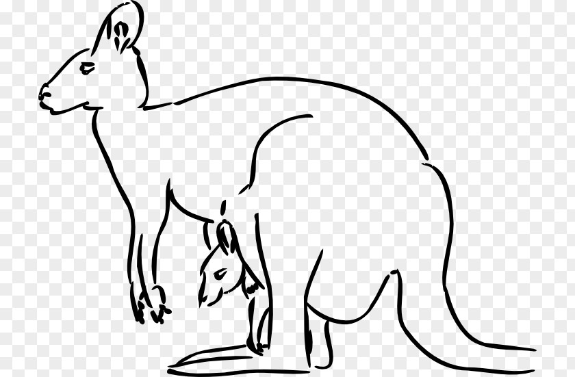 Kangaroo Red Drawing Word Clip Art PNG