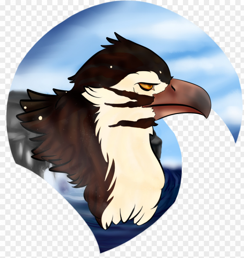 Penguin Eagle Beak Cartoon PNG