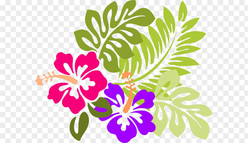 Angie Icon Hawaiian Hibiscus Shoeblackplant Flower Clip Art PNG