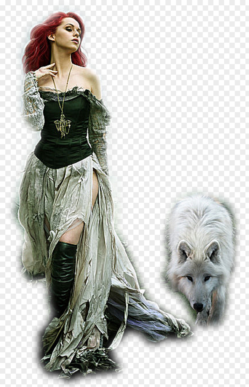 Animal Mall Gray Wolf Werewolf Fantasy Fantastic Art Costume PNG
