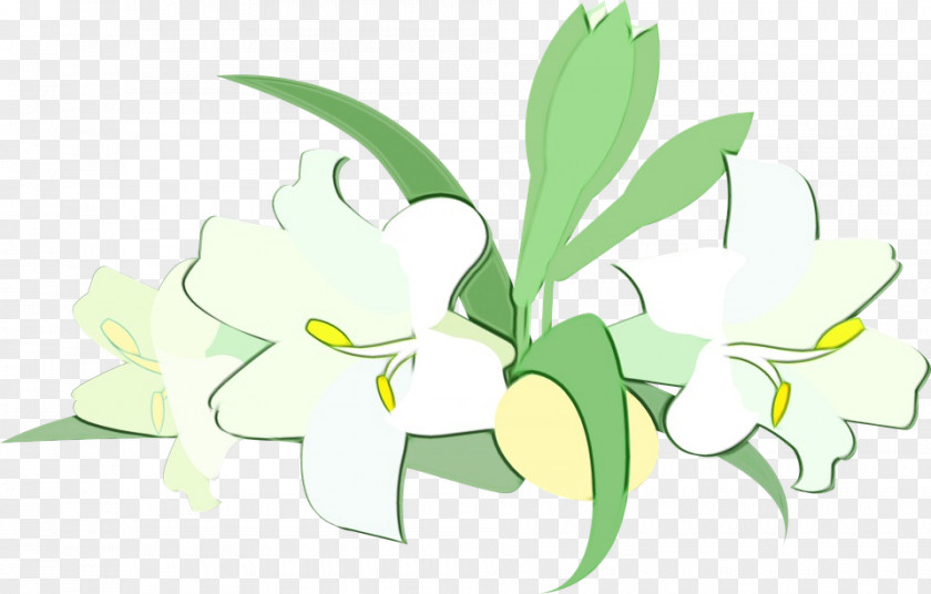 Floral Design PNG