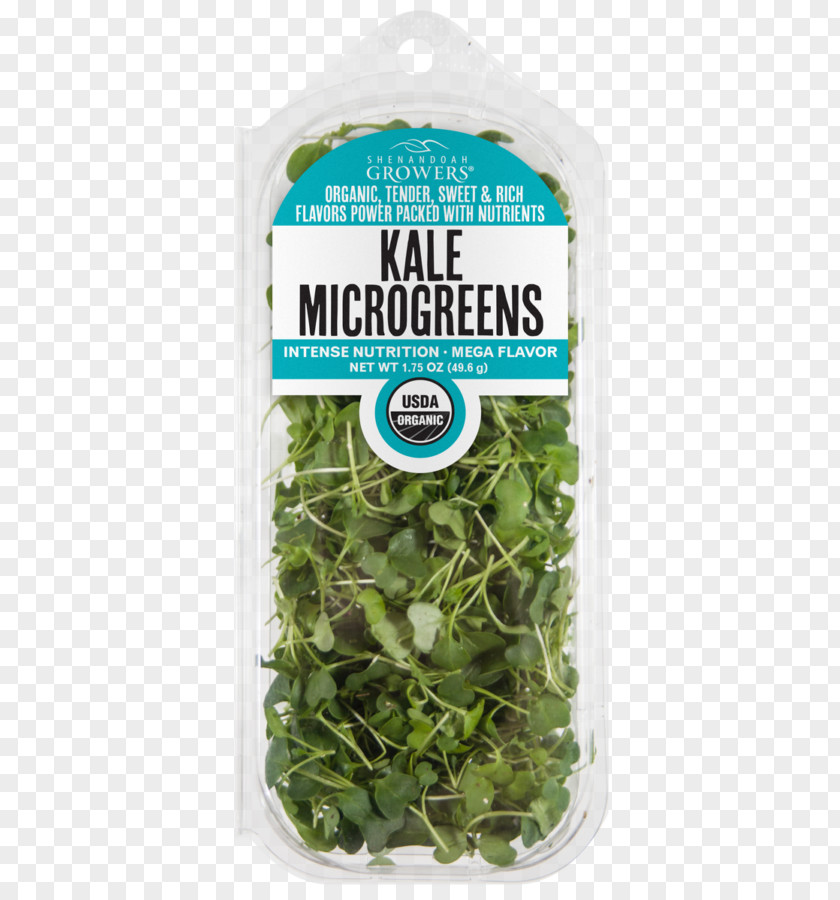 Kale Spring Greens Microgreen Herb Nutrition Leaf Vegetable PNG