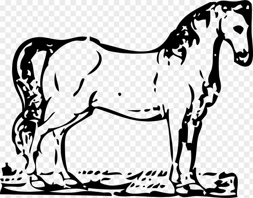 Wood Cut Tennessee Walking Horse Equestrian Jumping Coloring Book Clip Art PNG