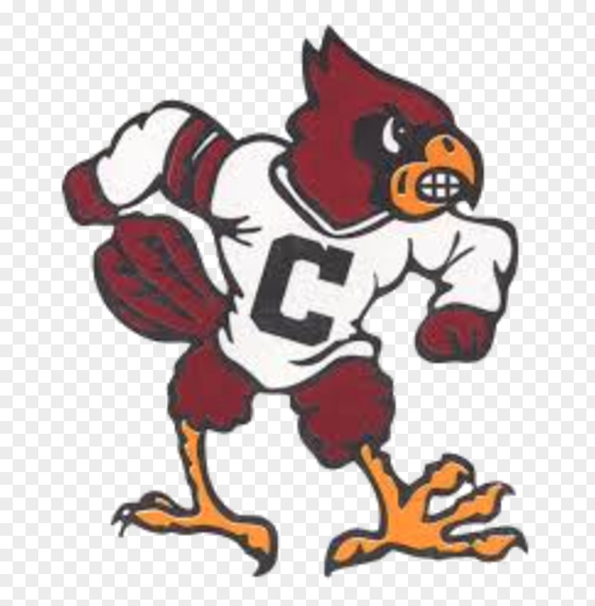 American Football Louisville Cardinals Clarinda High School Grand Valley University Of PNG