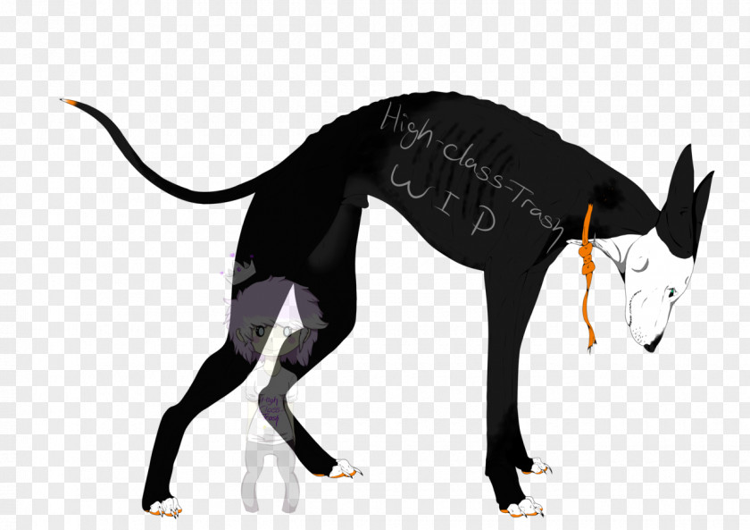 Cat Dog Breed Italian Greyhound PNG