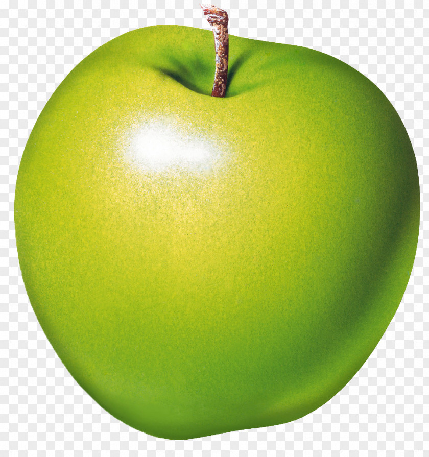 Fruit Vector Sketch,Beautifully Green Apple Food PNG