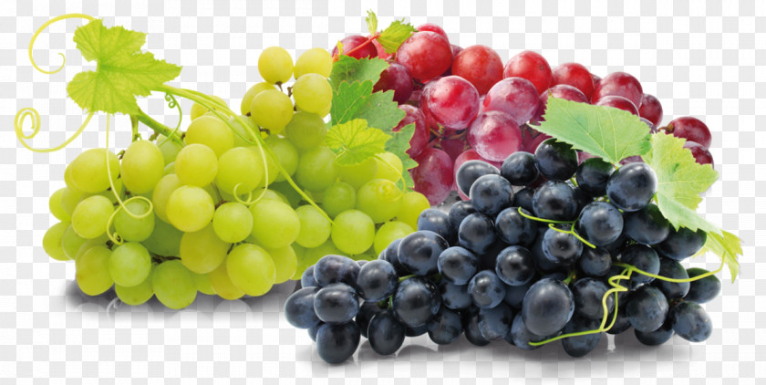 Grape Nutrient Dietary Fiber Supplement Food PNG
