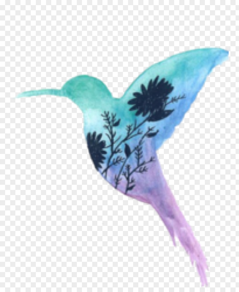 Painting Hummingbird Watercolor YouTube PNG