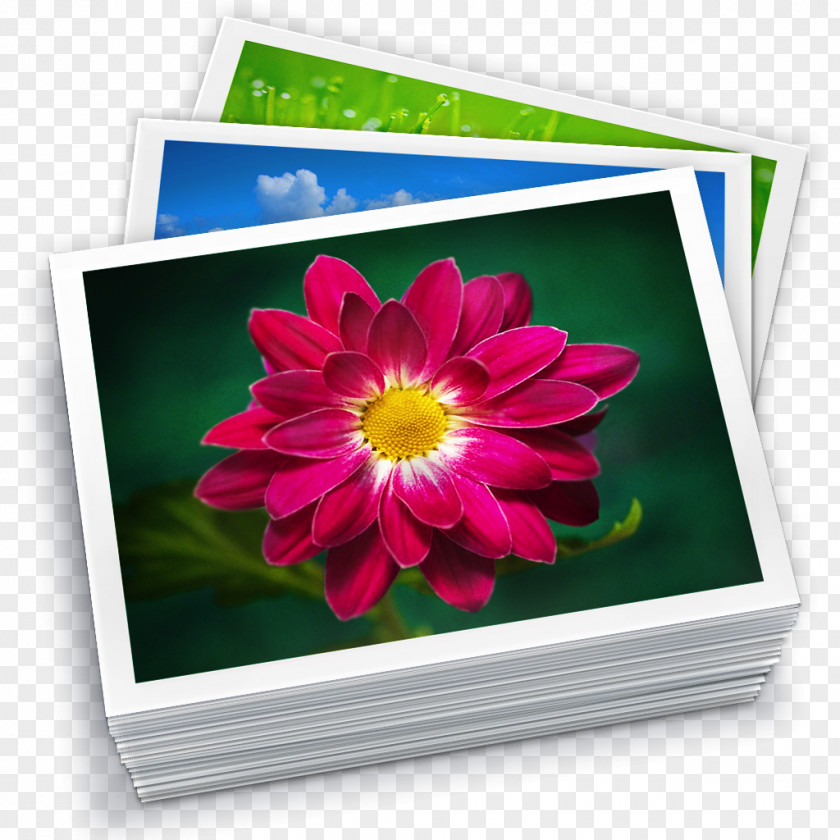 Portrait IPhoto Library Apple Photos PNG