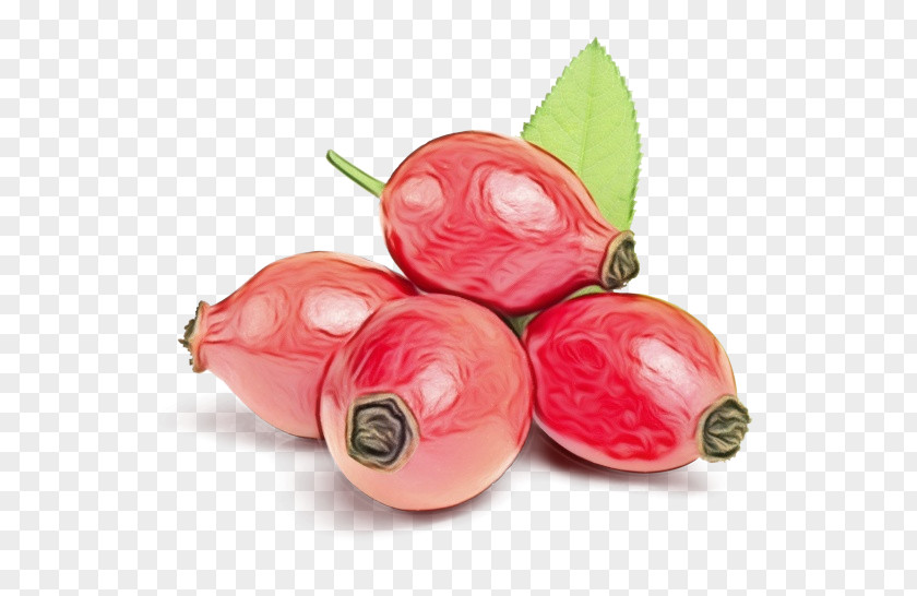 Superfood Radish Pink Food Fruit Plant Vegetable PNG