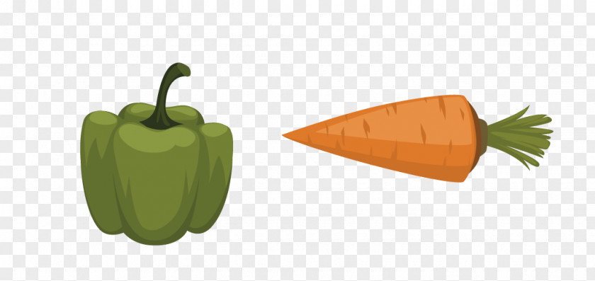 Vector Vegetables Chinese Cuisine Asian Illustration PNG