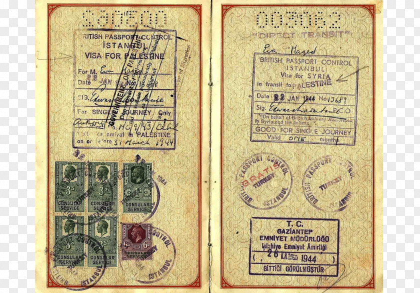 Visa Passport Paper PNG