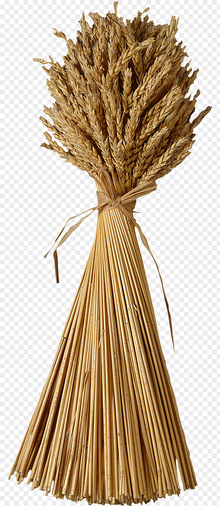 Wheat Sheaf Clip Art PNG