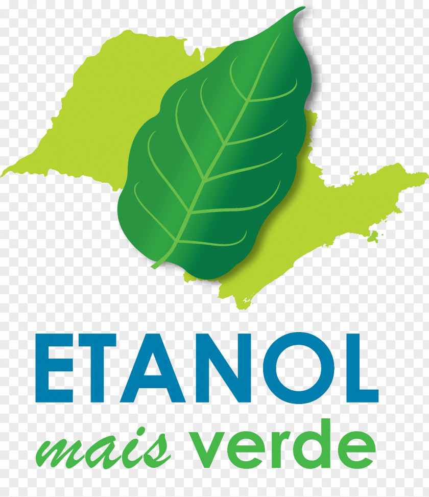 Bahan Bakar Etanol Di Brasil Sugarcane Ethanol Fuel Production Logo PNG