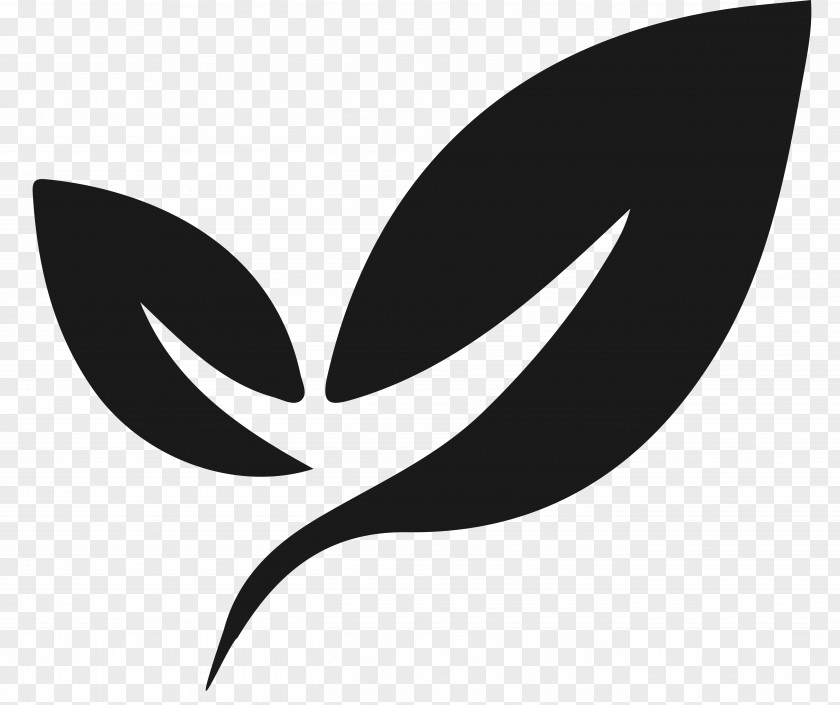 Leaf Logo Drawing Emblem PNG