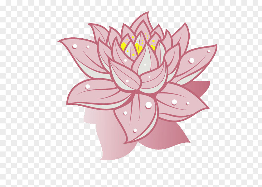Pink Lotus Nelumbo Nucifera Drawing Flower Clip Art PNG