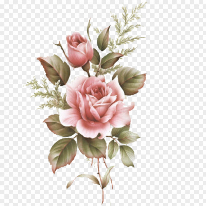 Drawing Rose Pencil Flower Drawings Illustration Image PNG