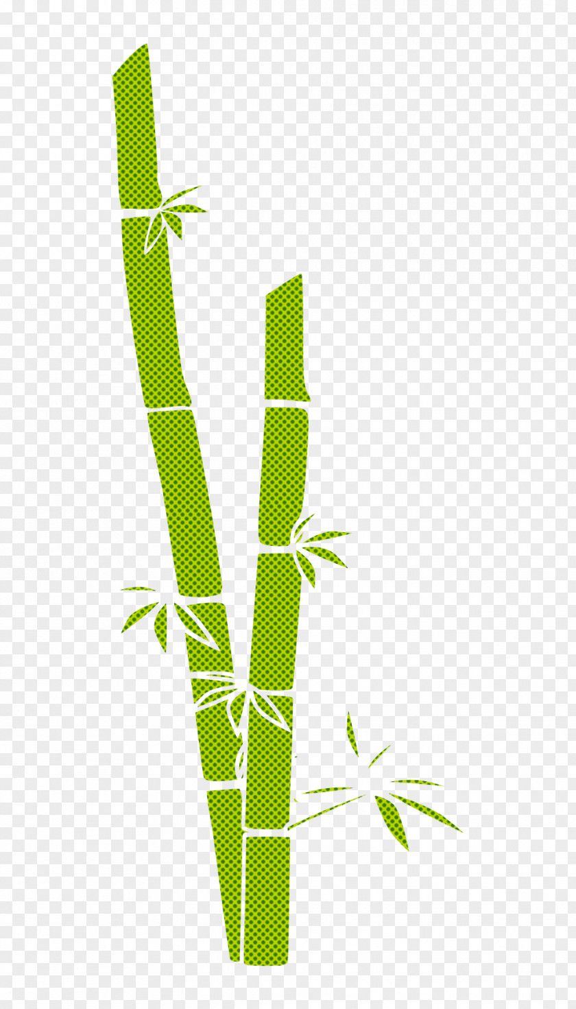 Leaf Plant Stem Grass Family Line PNG