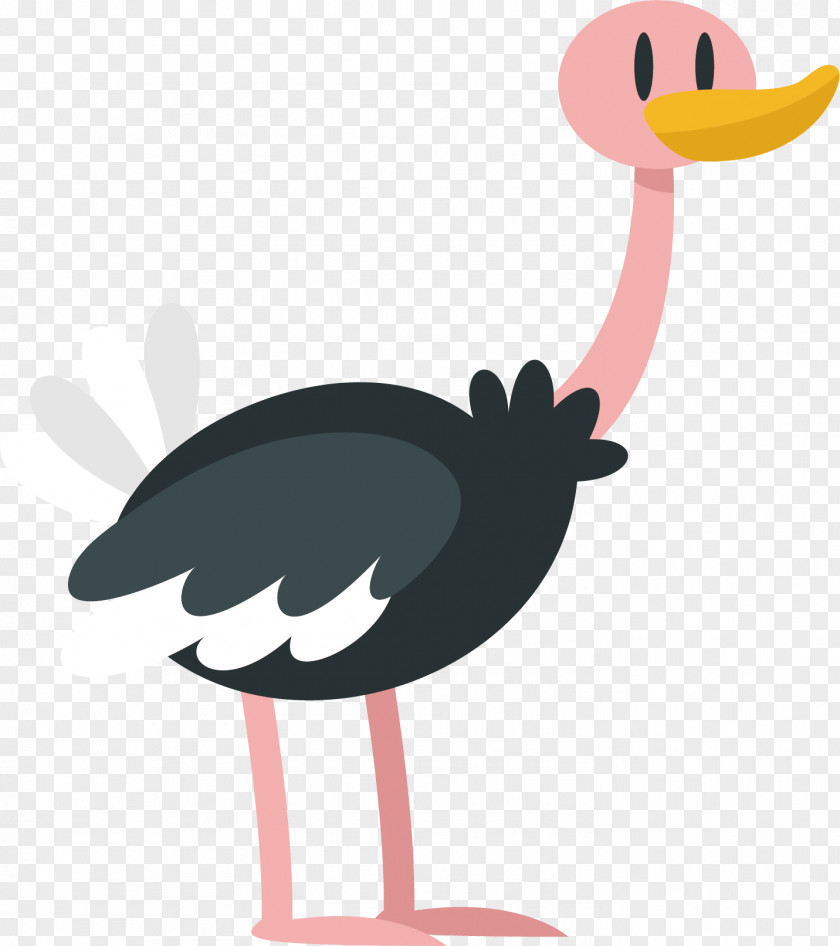 Ostrich Vector Common Cartoon PNG