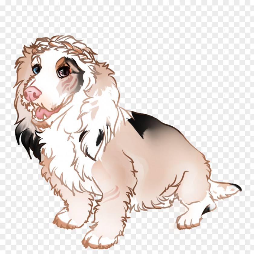 Puppy Dog Breed Companion Spaniel PNG
