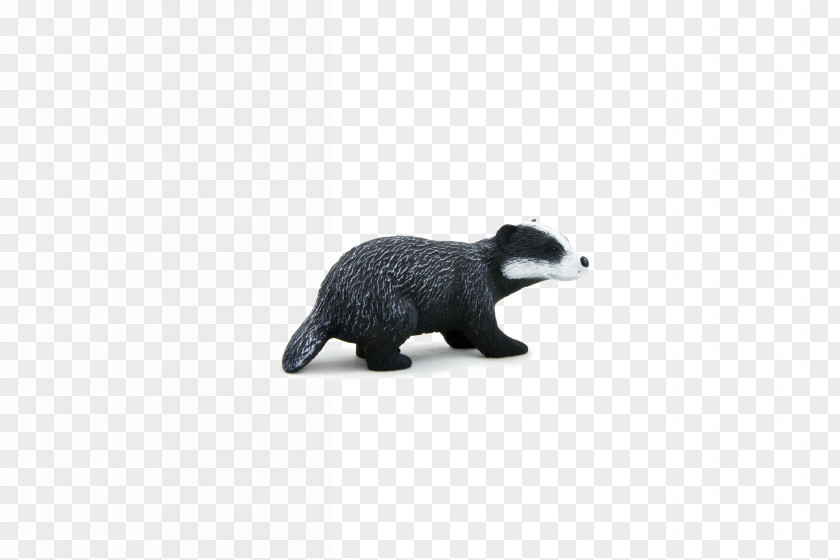 Raccoon Clip Art European Badger Honey Otter PNG