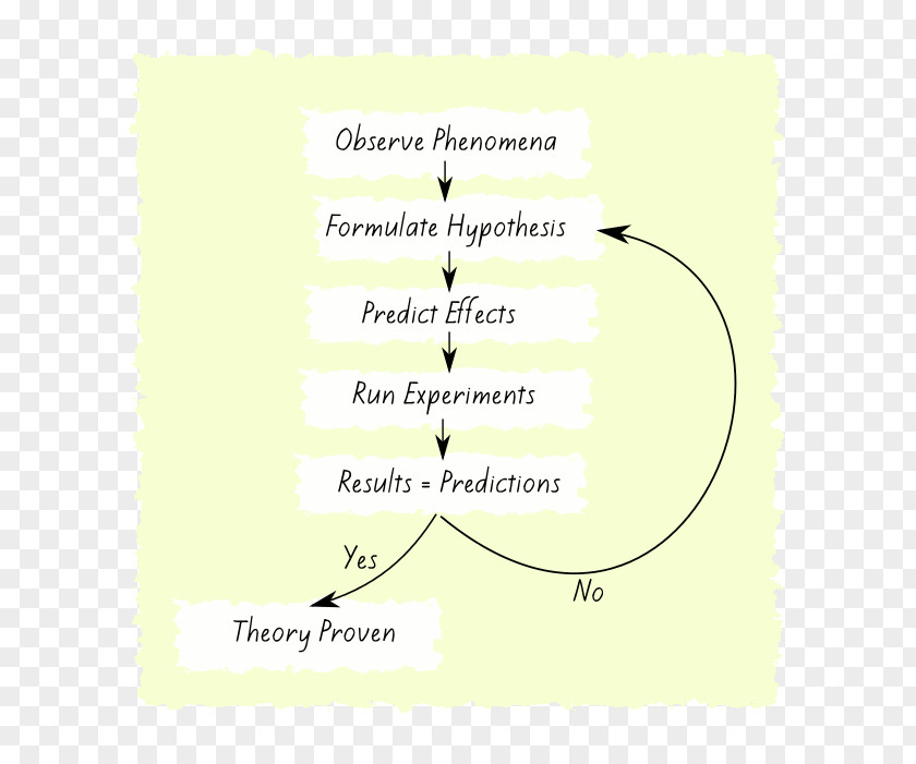 Scientific Method Document Handwriting Line Angle Tree PNG