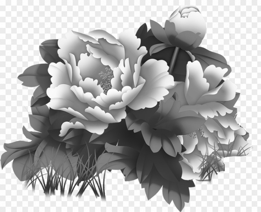 Vector Floral Flowers Moutan Peony Ink Wash Painting PNG