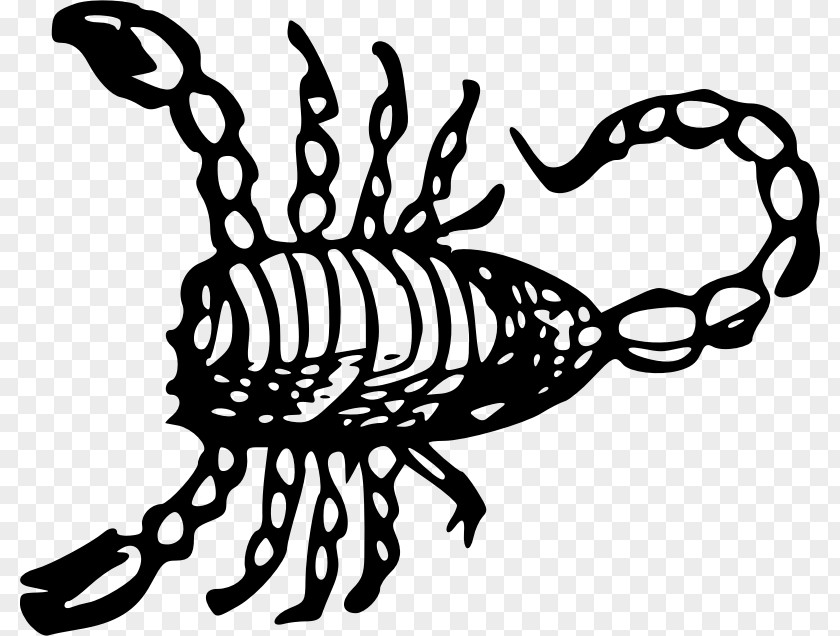 Wood Cut Scorpion Drawing Clip Art PNG