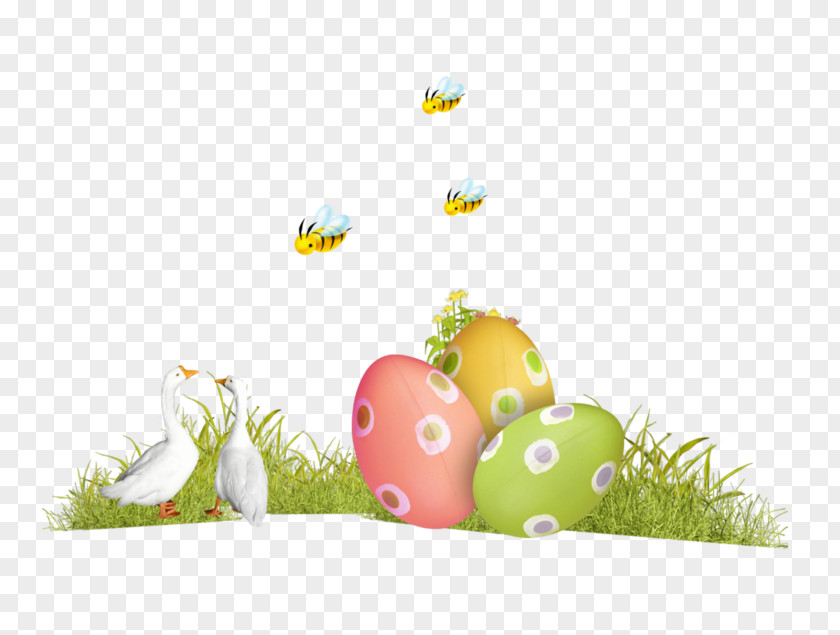 Cartoon Easter Eggs Egg Hunt Desktop Wallpaper Christmas Day PNG