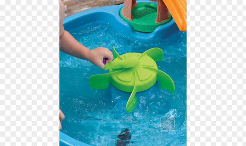 Duck Water Swimming Pool Table Pond PNG