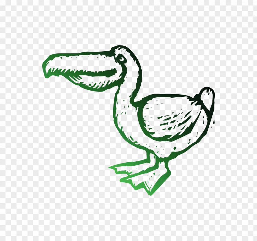 Ducks, Geese And Swans T-shirt Cygnini Clip Art PNG