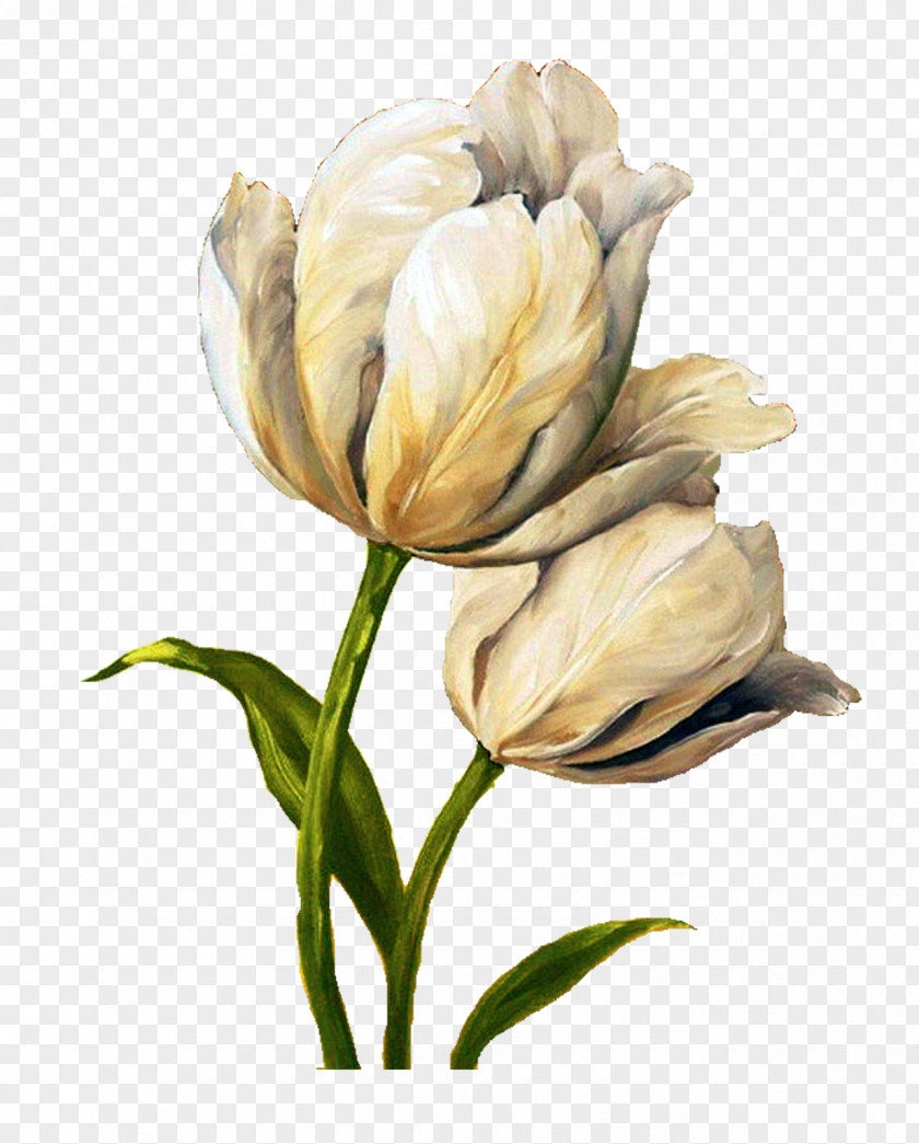 Artichokes Flower Tulip Painting Decoupage Art PNG