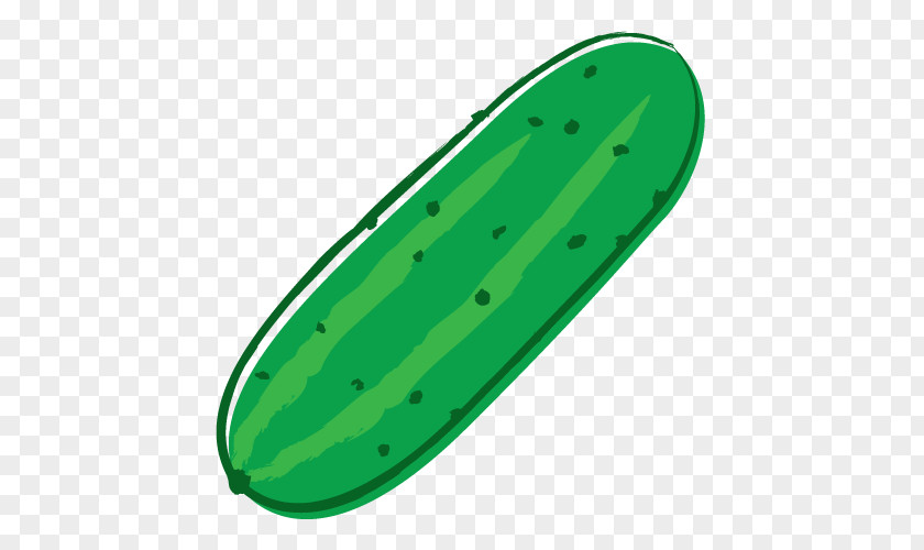 Cucumber Melon Fruit PNG